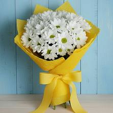 Букет цветов из:  Хризантемы в Пласте