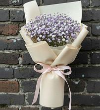 Букет цветов из:  Гипсофила в Пласте