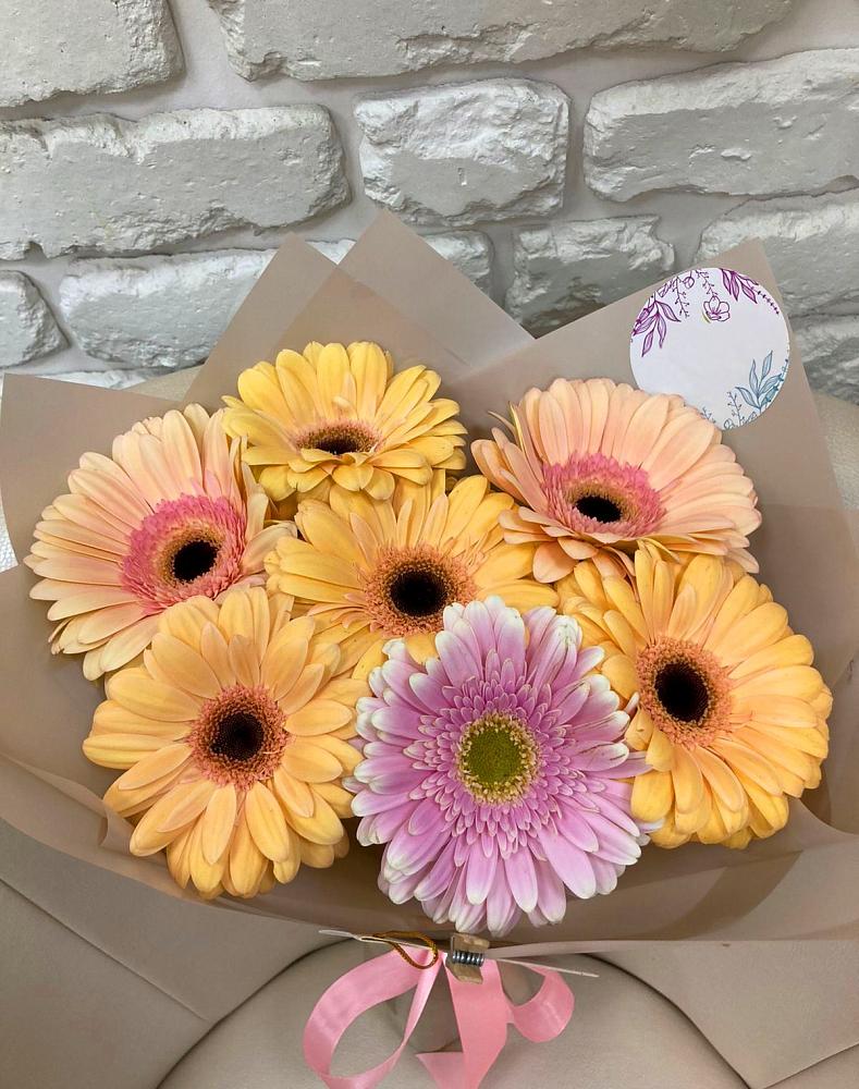 Букет цветов из: Герберы в Пласте