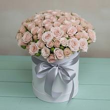 Цветочная композиция из Розы в шляпной коробке #REPLACE_PRED# Пласте