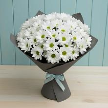 Букет цветов из:  Хризантемы в Пласте