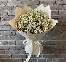 Букет цветов из:  Ромашки в Пласте