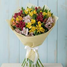 Букет цветов из:  Альстромерии в Пласте