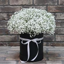 Цветочная композиция из Гипсофила в шляпной коробке в Пласте