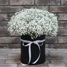 Цветочная композиция из Гипсофила в шляпной коробке в Пласте